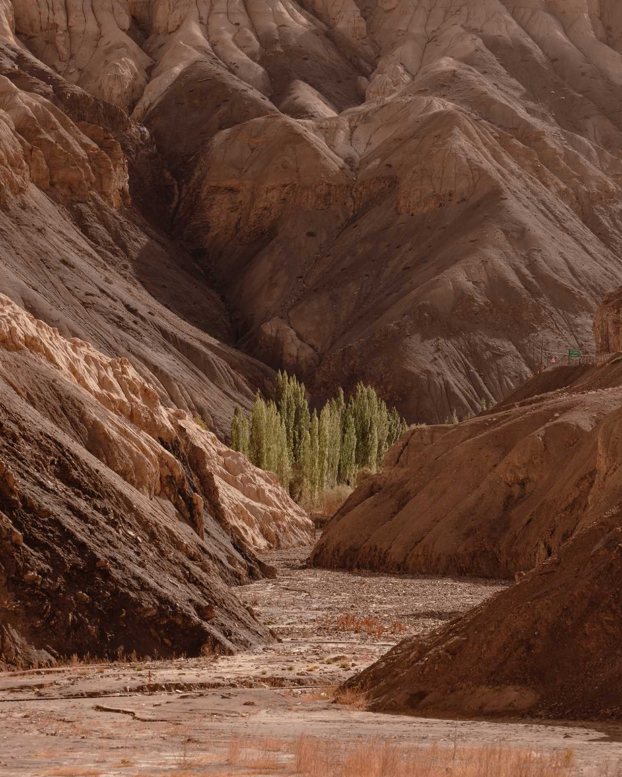 Hemis and Stakna