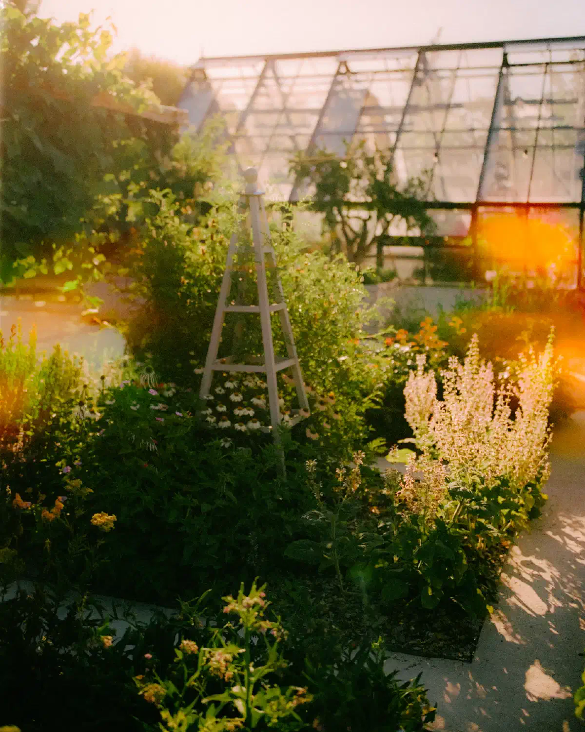 atmos-08