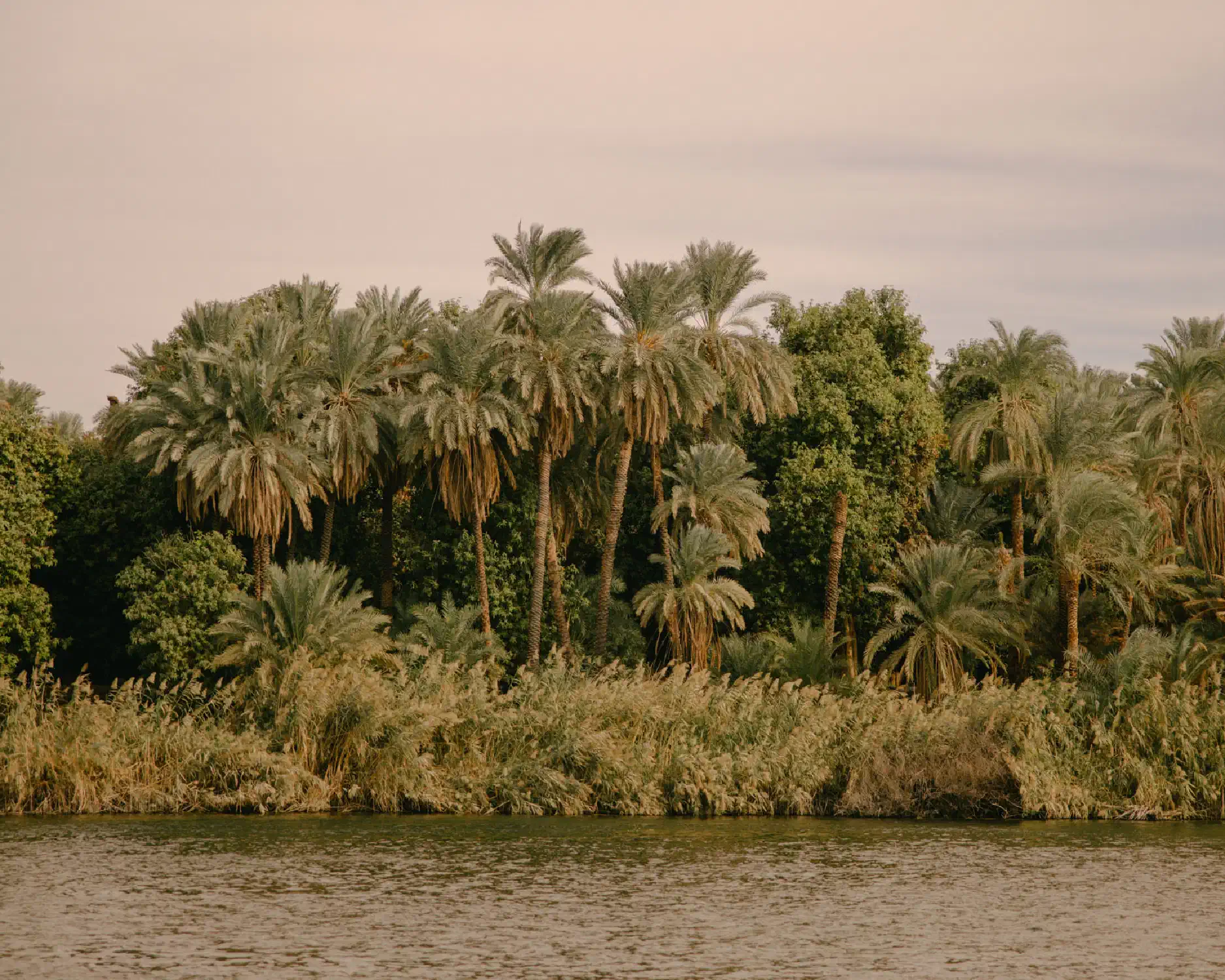 rivernile_25