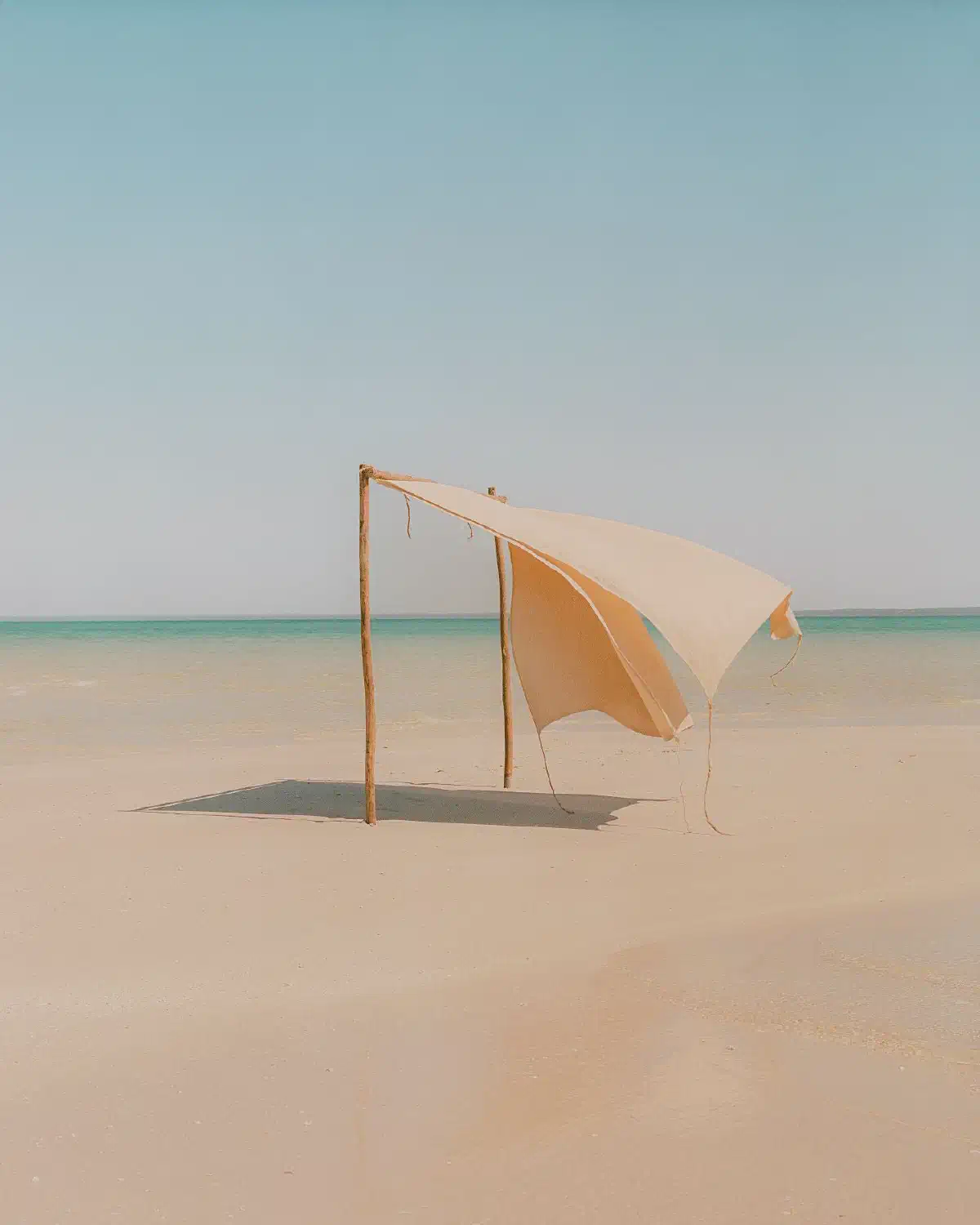 The ocean calls