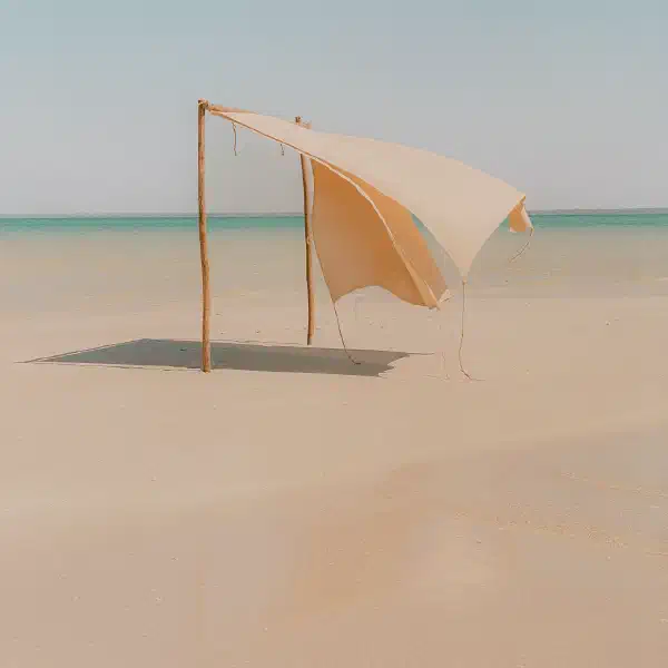 The ocean calls