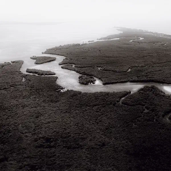 An ocean in between the waves