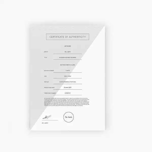 An ocean in between the waves — certificate