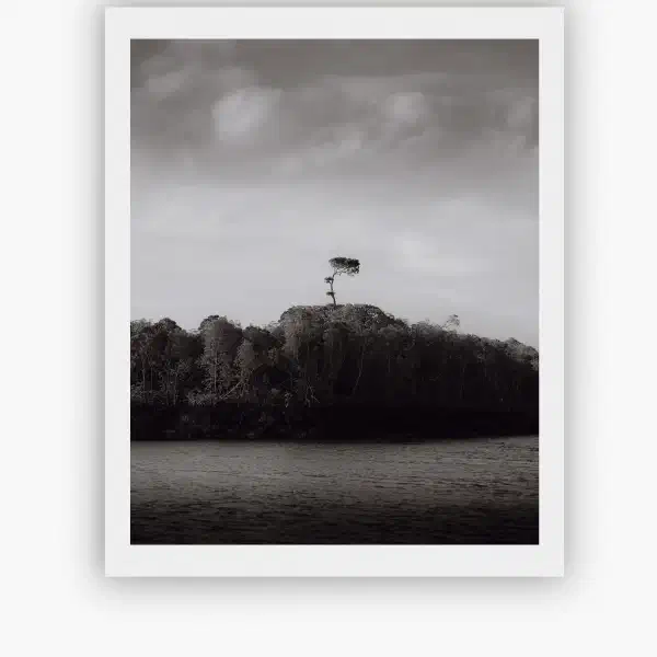 Beneath the endless sky — print overhead