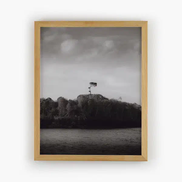 Beneath the endless sky — oak frame overhead