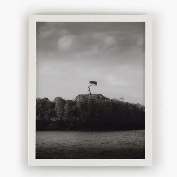Beneath the endless sky — white frame overhead