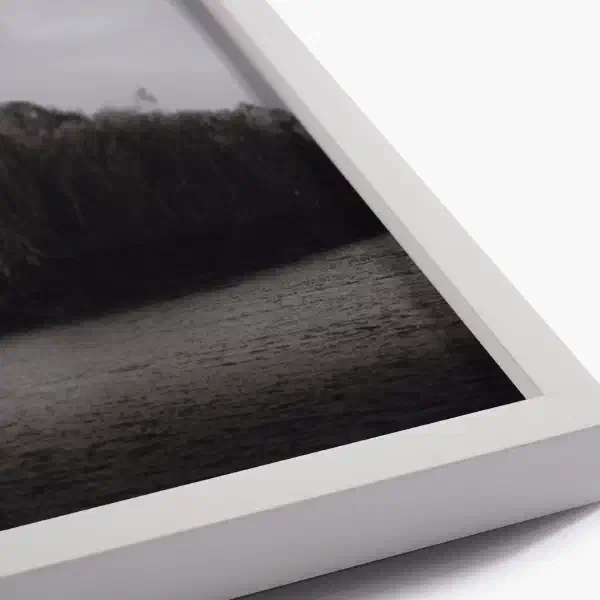 Beneath the endless sky — white frame detail