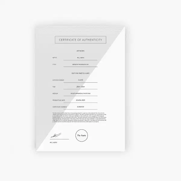 Beneath the endless sky — certificate