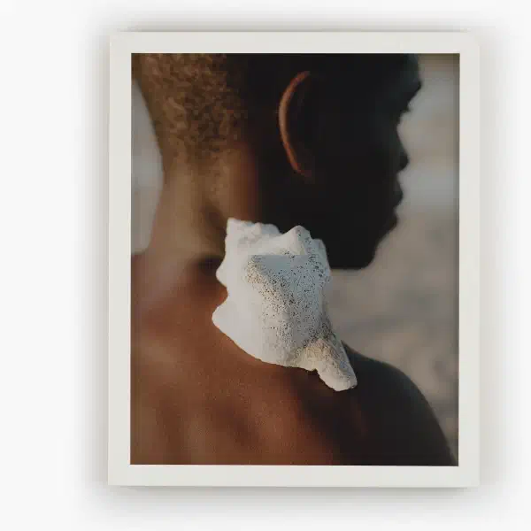 Rebirth — white frame overhead