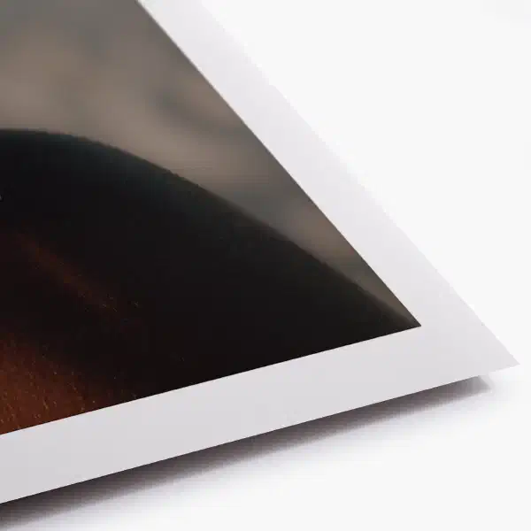 Rebirth — hahnemuhle paper