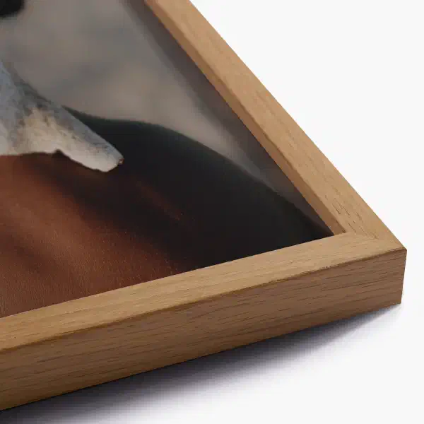 Rebirth — oak frame detail