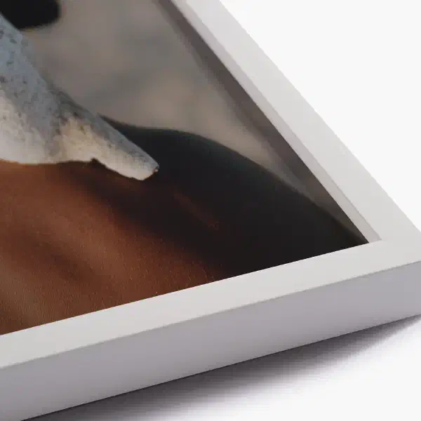 Rebirth — white frame detail