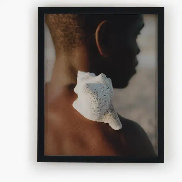 Rebirth — black frame overhead