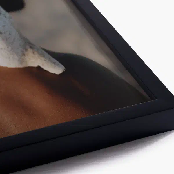 Rebirth — black frame detail